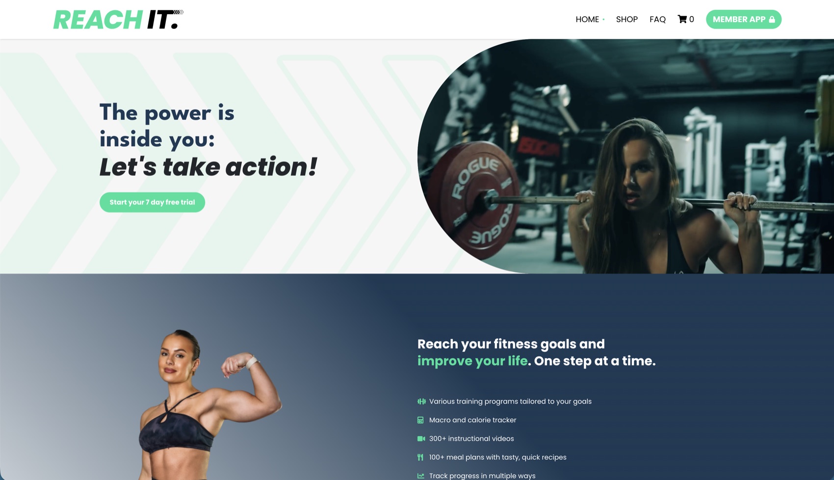 De homepage van REACH-IT op desktop